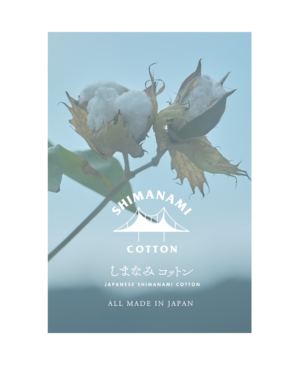 ビジネスシャツ/しまなみコットンシャツ/イージーケア