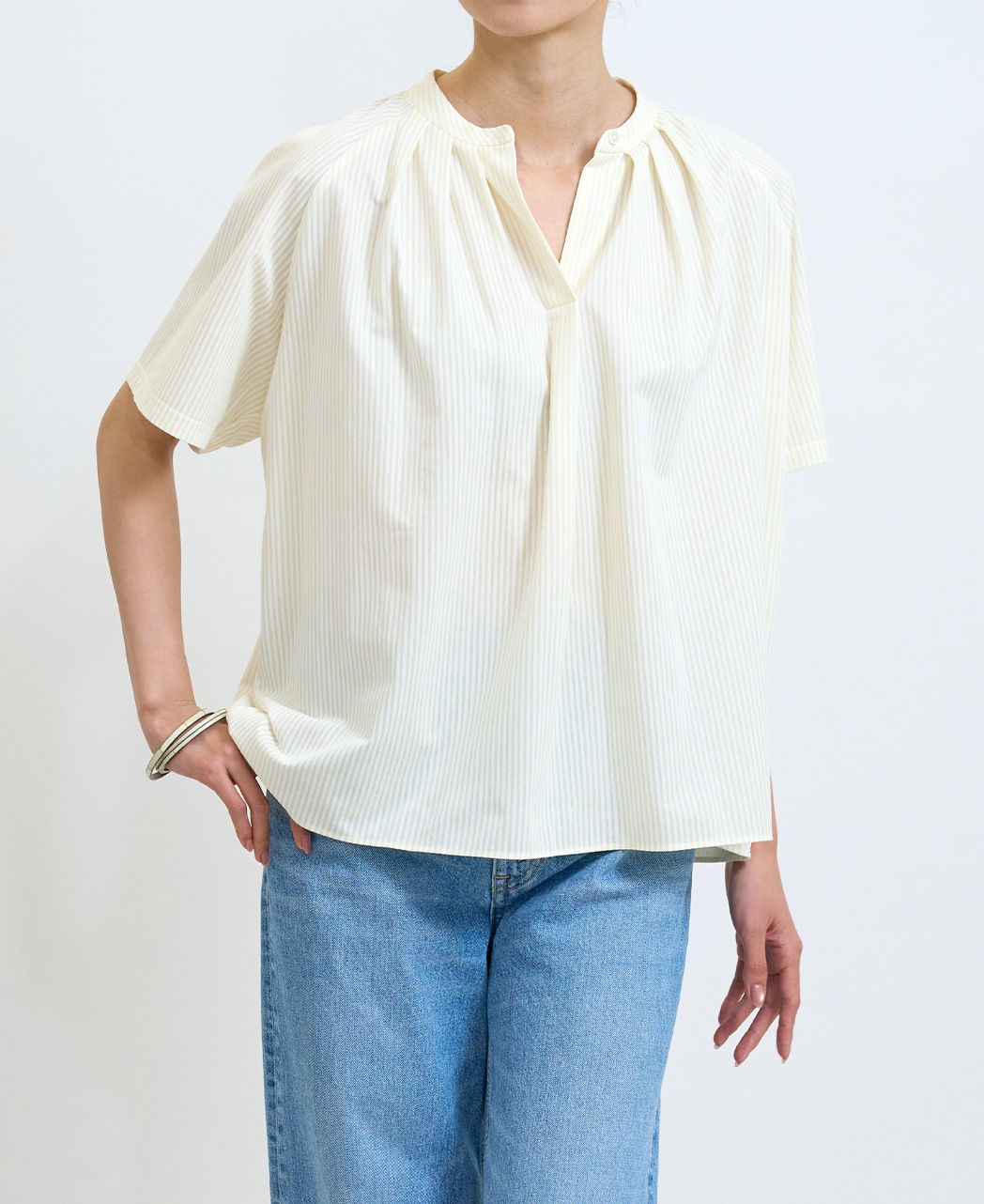 半袖シャツ / 3月下旬発送予定/スタンドタック / プルオーバー